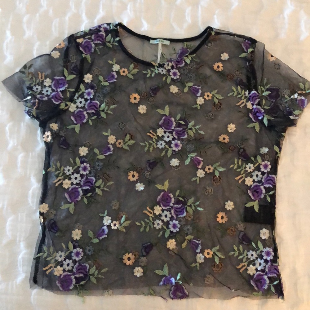 Kimchi blue sheer black embroidered top